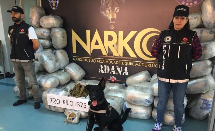 Adana’da 721 kilo esrar ele geçirildi