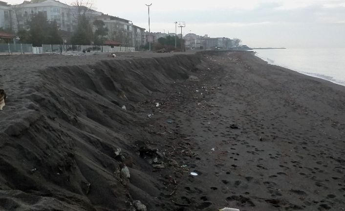 Akçakoca sahilinde şaşırtan görüntü