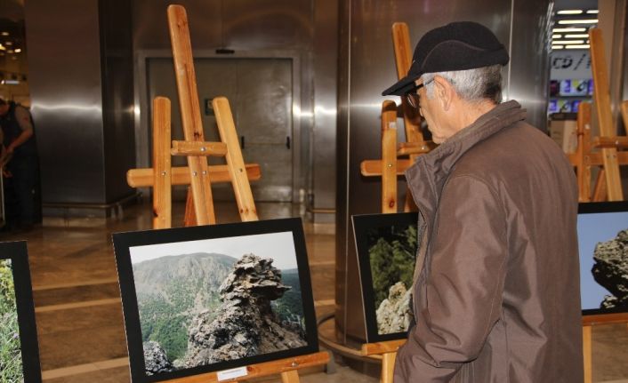 Bu fotoğraflara bakan bir daha baktı