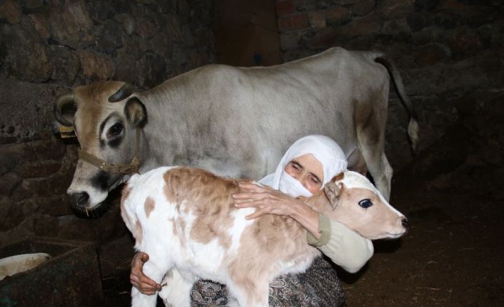 Cemile teyzenin mutluluk fotoğrafı