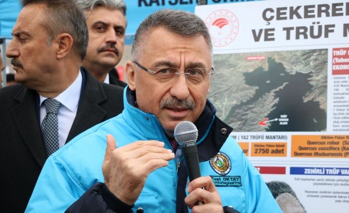 Cumhurbaşkanı Yardımcısı Oktay: “Yerelden kalkınma olmazsa ulusal anlamda kalkınmayı başaramayız”