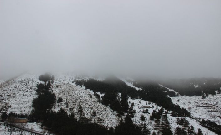 Erzurum güne sis ile uyandı