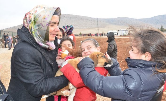 Harçlıklarıyla sokak hayvanlarına 2,5 ton sakatat aldılar