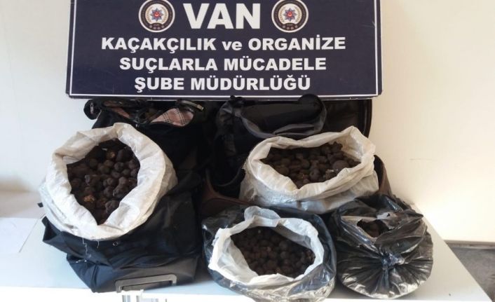 İran uyruklu şahısların valizlerinde 83 kilo Trüf mantarı çıktı