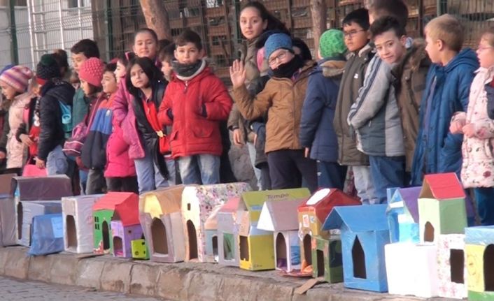 Kediler üşümesin diye 150 adet kedi evi yaptı