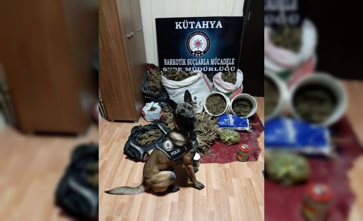 Kütahya’da 30 kilo esrar ele geçirildi