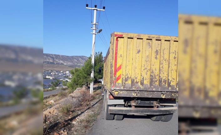 Mersin’e sokulmak istenilen bir kamyon köpek geri gönderildi