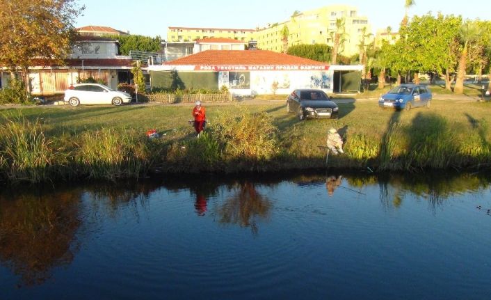 Oksijensiz kalan derede balıkların can çekiştiği anlar böyle görüntülendi