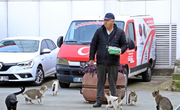 Onu gören kedi ve köpekler esas duruşa geçiyor