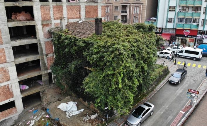 Rize’deki sarmaşık kaplı ev görenleri şaşırtıyor