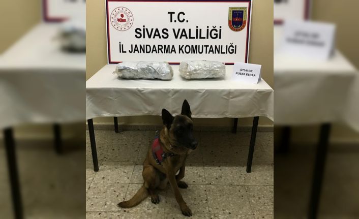 Sivas’ta 3 kilo 155 gram esrar ele geçirildi