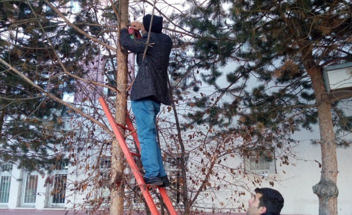 Sokak hayvanları için seferber oldular