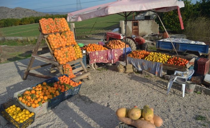 Adana’dan hediyelik portakal