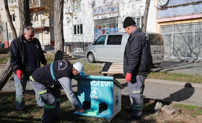 Ahşap atıklardan kedi evleri yaptılar