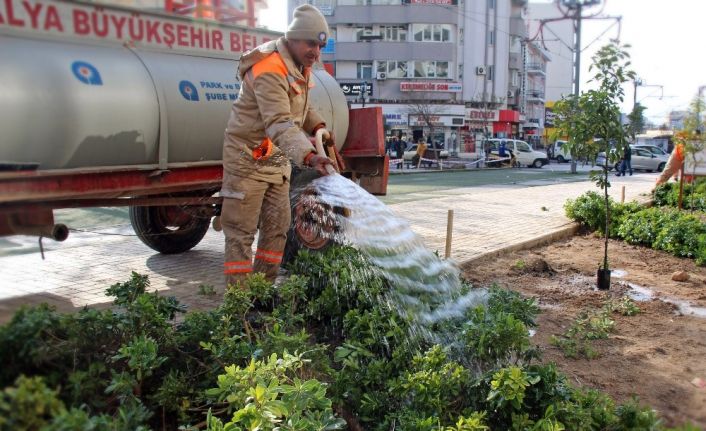 Ali Çetinkaya Caddesinde peyzaj çalışması