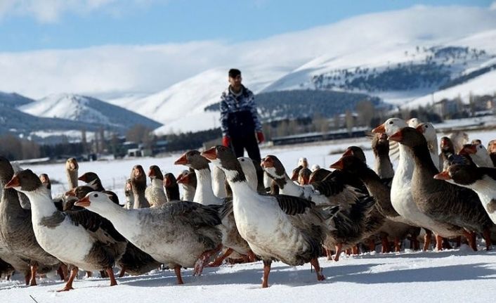 Ankara’da Kars, Ardahan, Iğdır Günleri başlıyor