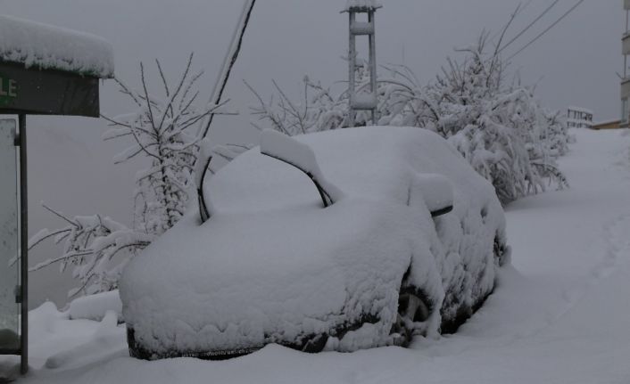 Artvin beyaza büründü