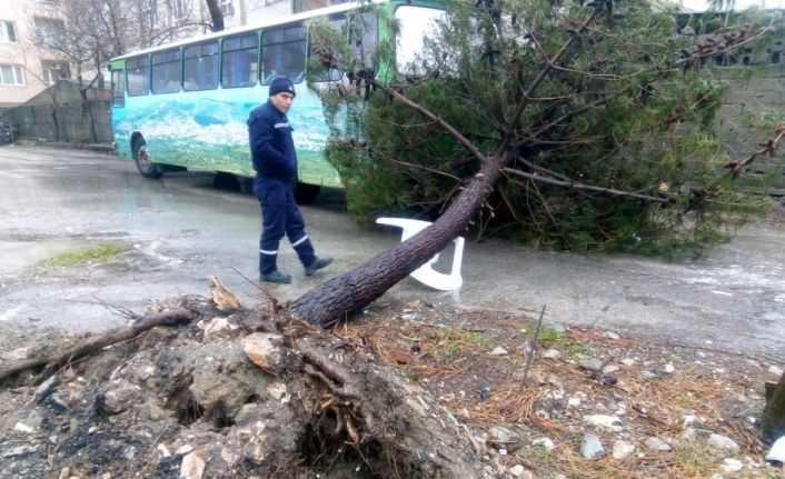 Bandırma’da şiddetli fırtınanın yaraları sarılıyor