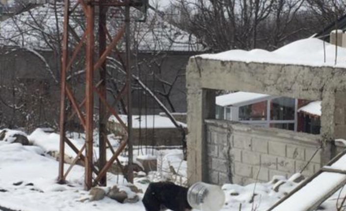 Başı bidona sıkışan yavru köpeği jandarma kurtardı