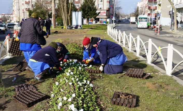 Belediye ekipleri Çorlu’yu güzelleştirmeye çalışıyor