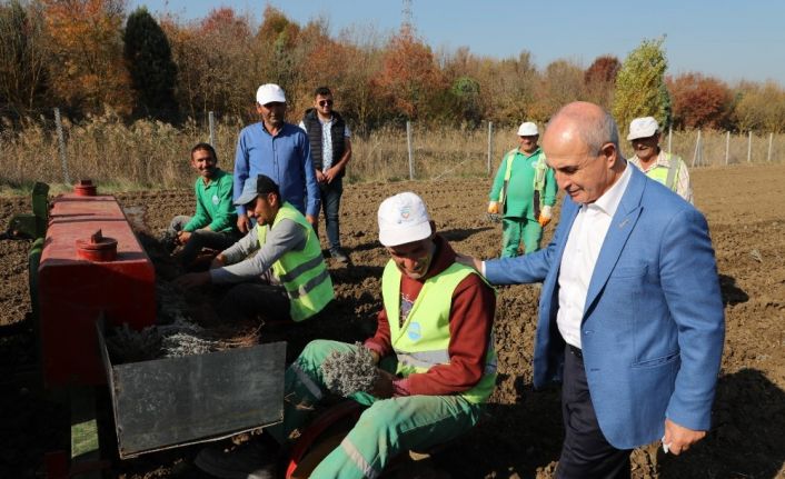 Büyükçekmece’de “Tarım Yılı” eğitim programı başlıyor