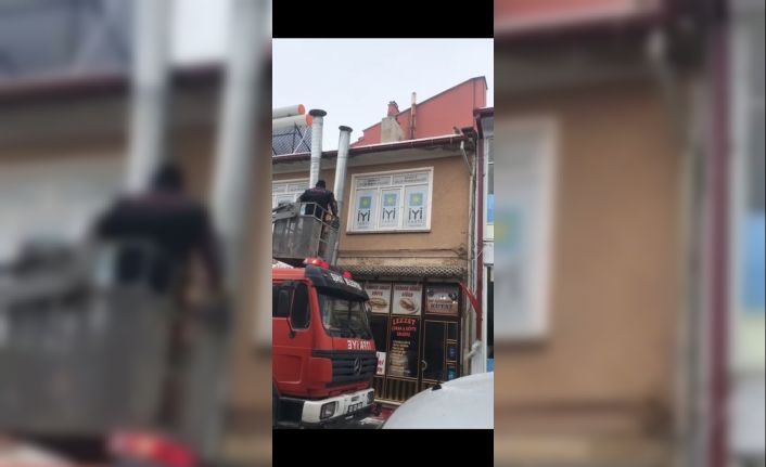 Çatıda mahsur kalan kedinin imdadına itfaiye ekipleri yetişti