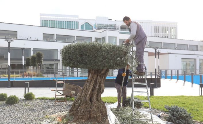 Çayırova’da yeşil alanlar bakımdan geçiyor