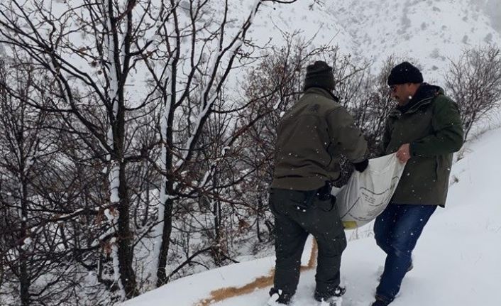 Elazığ’da yaban hayvanları için doğaya yem bırakıldı