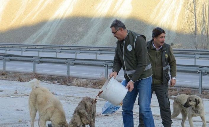 Erzincan’da yaban hayatına yem desteği