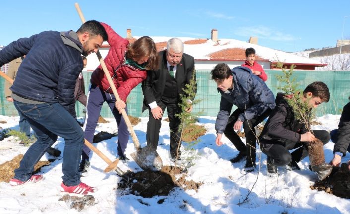 Fidanlar ‘Toprak Dede’ anısına dikildi