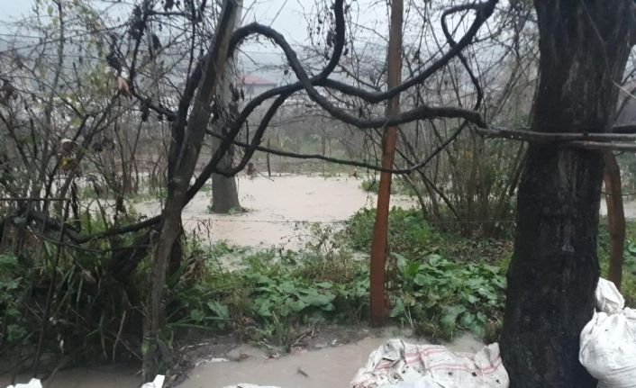 Giresun’da sağanak yağış su baskınlarına neden oldu