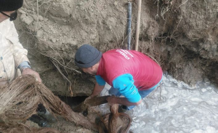 İçme suyu hattından 20 metrelik ağaç kökü çıktı