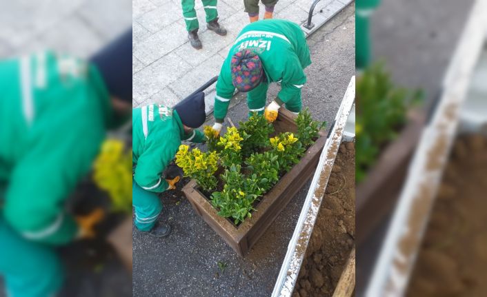 İzmit’te cami bahçeleri çiçeklerle donatılıyor