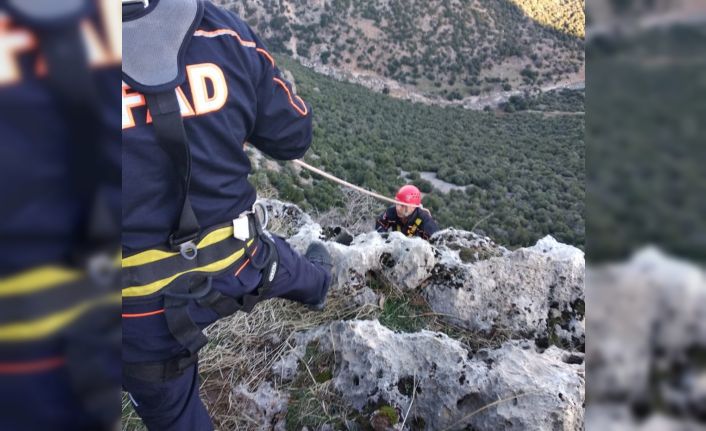 Kayalıklarda mahsur kalan keçiyi AFAD ekipleri kurtardı