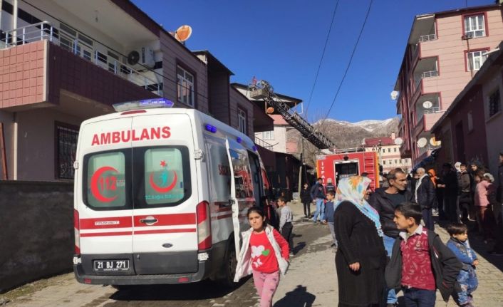 Lice’de korkutan yangın: 2 yaralı