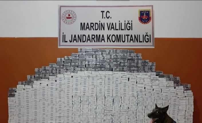 Mardin’de 8 bin 470 paket kaçak sigara ele geçirildi