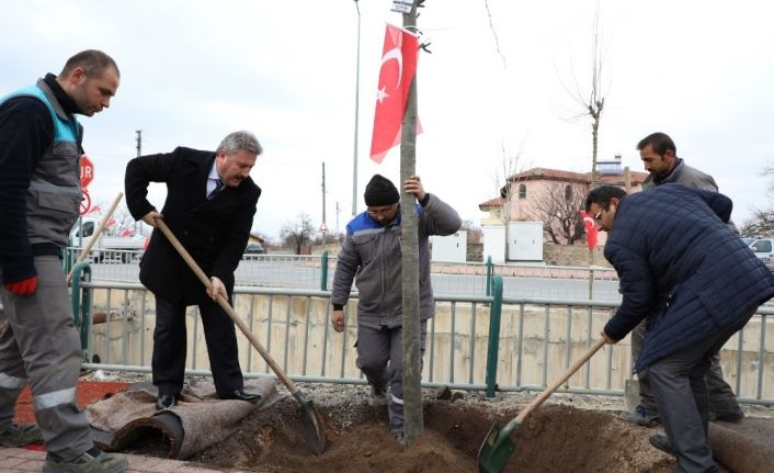 Melikgazi’de 2020 yılı ağaçlandırma ve yeşillendirme yılı olacak