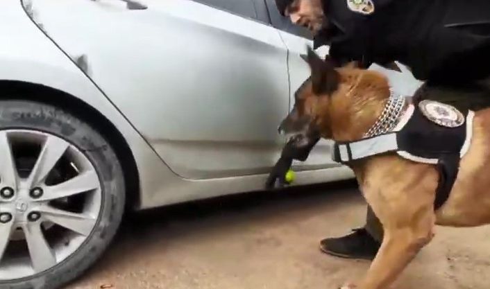 Narkotik köpeğinden kaçamayan otomobilin yakıt deposundan esrar fışkırdı