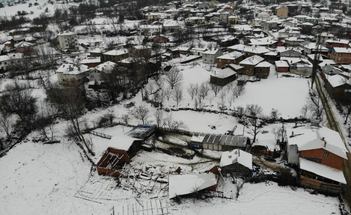 (Özel) Ahırın çatısı kara dayanamadı, 50’ye yakın koyun telef oldu