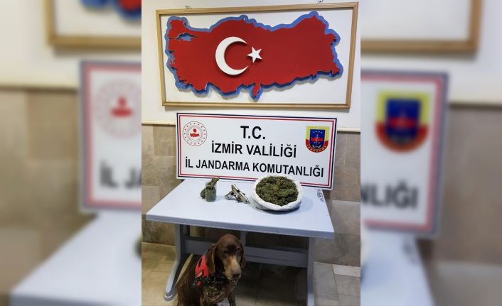 Saklanan uyuşturucuları narkotik köpeği ‘Varlı’ buldu