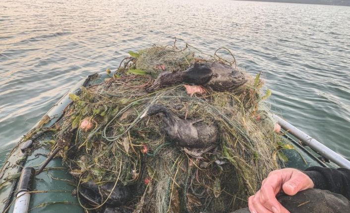 Sapanca Gölü’ndeki ’hayalet ağ’ konusunda delil bulunamadı