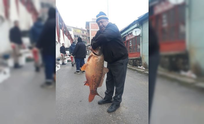 Savcılı barajından 25 kiloluk sazan balığı çıktı