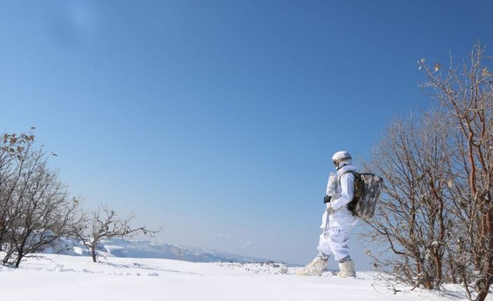 Şırnak’ta “Kapan-5 Gabar Operasyonu” başlatıldı