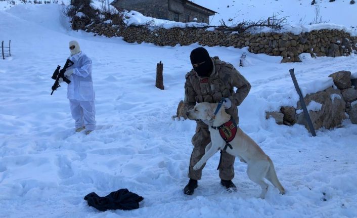 Şırnak’ta kayıp çifti arama çalışmaları sürüyor