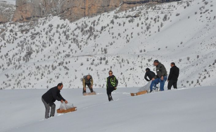 Şırnak’ta yaban hayvanları için doğaya yem bırakıldı