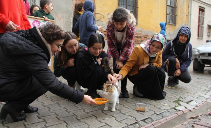 Sokak sokak kedi maması dağıttılar