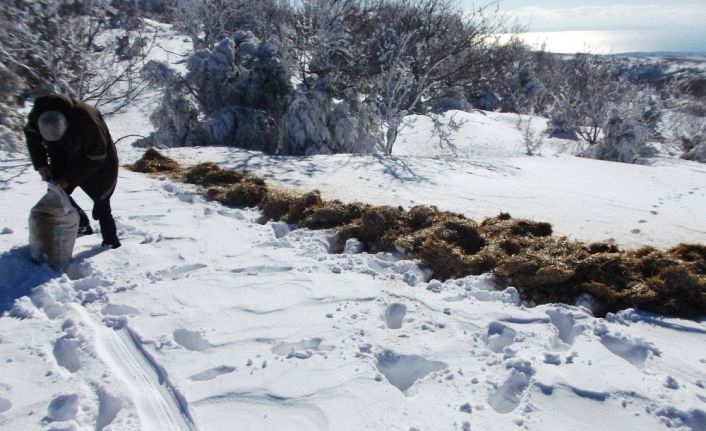 Tekirdağ’da karlı yüksek kesimlere yarım ton yem bırakıldı