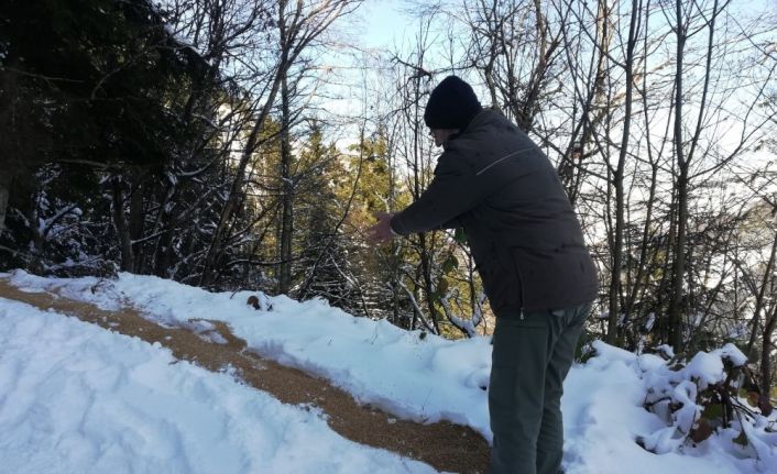 Trabzon’da yaban hayvanları unutulmadı