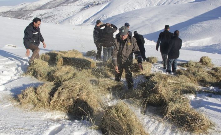 Yaban hayvanları için Emirdağları’na yem bırakıldı