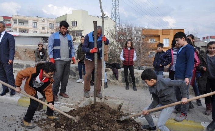 Cizre Belediyesi yeşil bir gelecek için çalışıyor